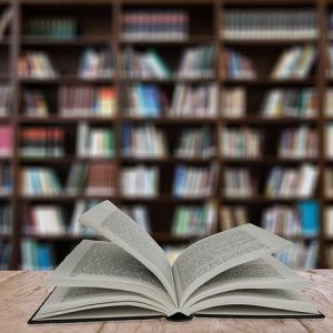 O que é variação linguística?